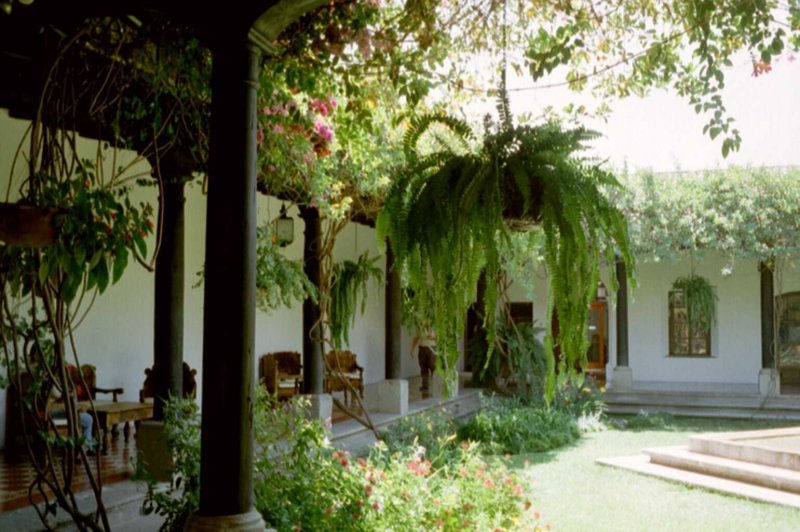 Photograph