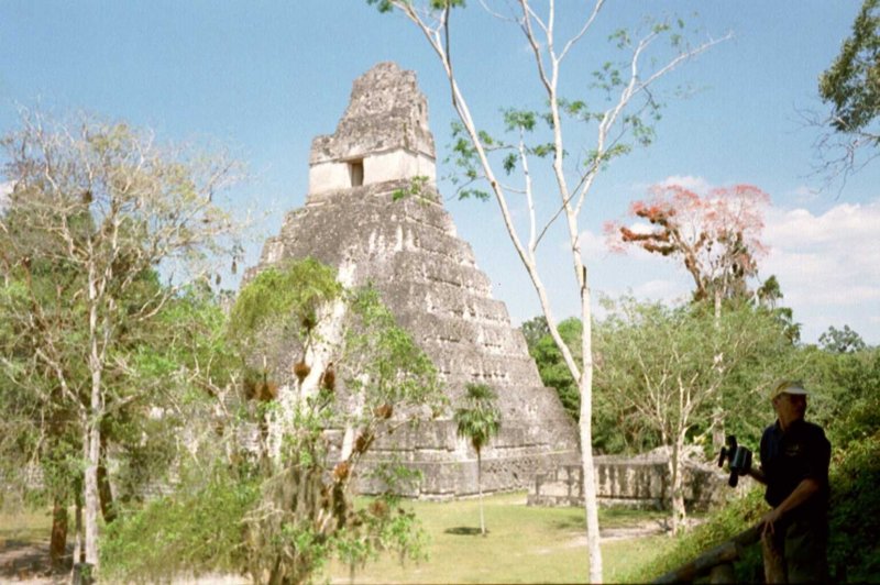 Photograph